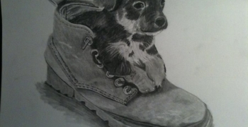 Realistic Dog Drawings in Pencil | Puppy In Shoe Drawing by 