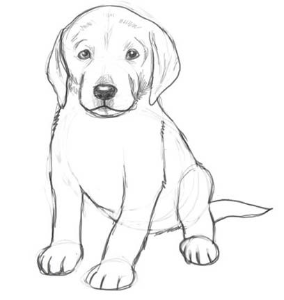 Dog Drawings In Pencil Easy For Kids Sketch Coloring Page ...