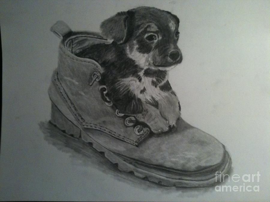Realistic Dog Drawings in Pencil | Puppy In Shoe Drawing by 