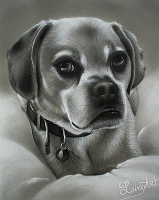 Realistic Dog Drawings (Page #3 of 5) | Fine Art America